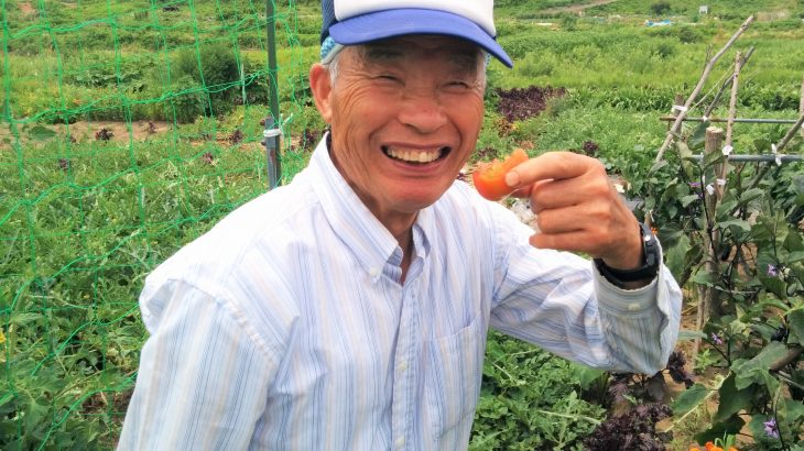 みんな健康になって欲しい。ただそれだけで趣味で野菜を作り続けて85歳！シソ農家の今村さんにインタビューしてきました！
